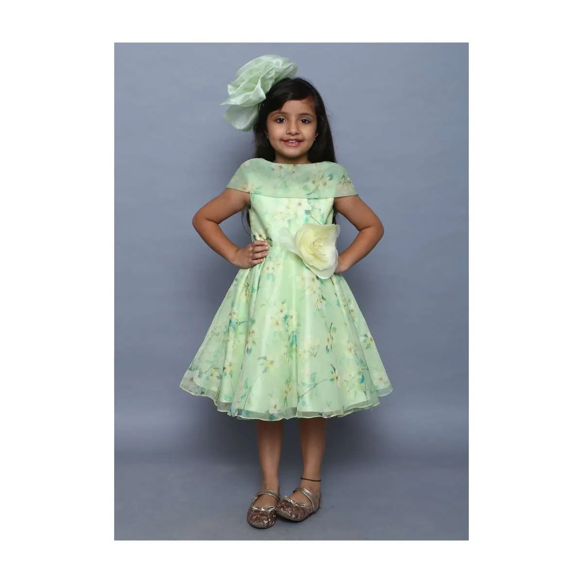 Green Dress In Printed Organza With Handmade 3D Flower And Shawl Collar Neck Online - Kalki Fashion