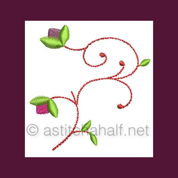 Paisley Potion Designs