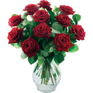 Twelve Roses